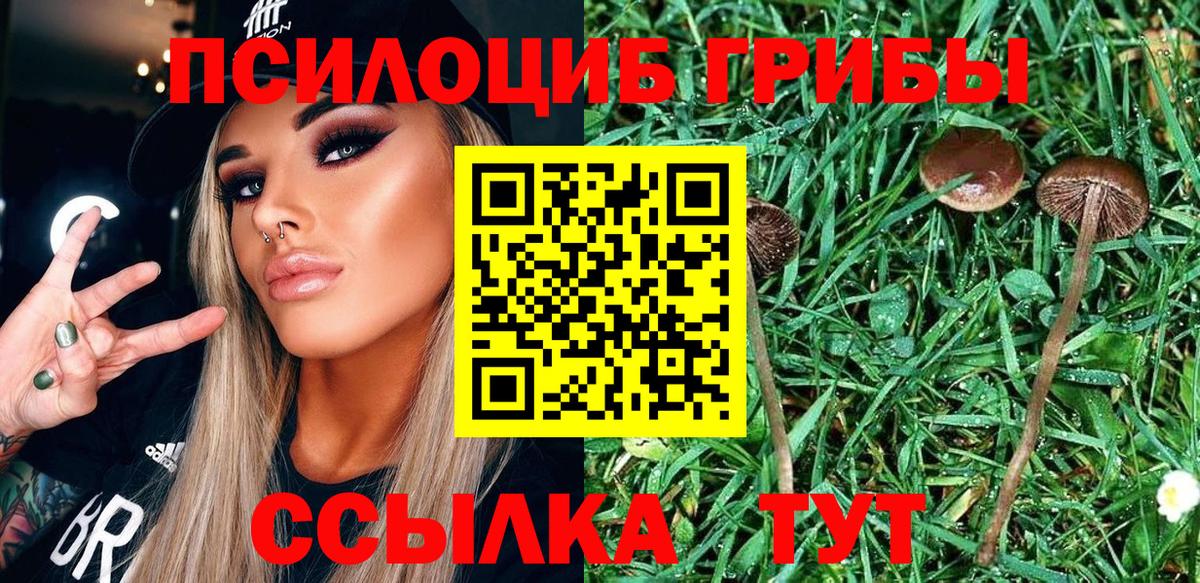 Галлюциногенные грибы Magic Shrooms Полысаево