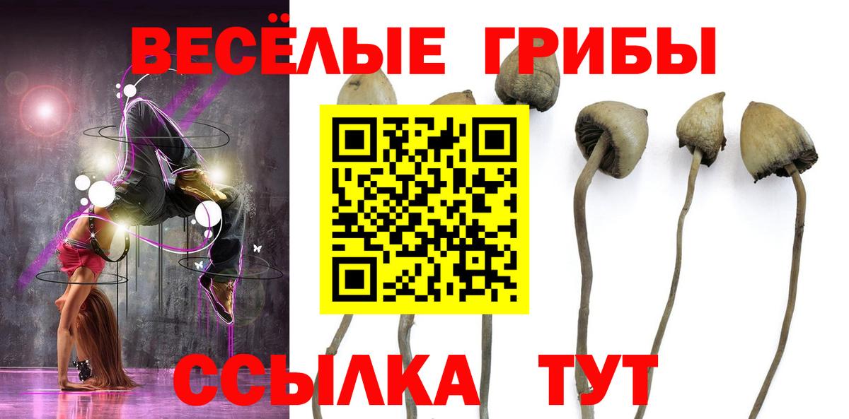 Псилоцибиновые грибы Psilocybine cubensis  Вход с VPN  Полысаево  Псилоцибиновые грибы Psilocybine cubensis 