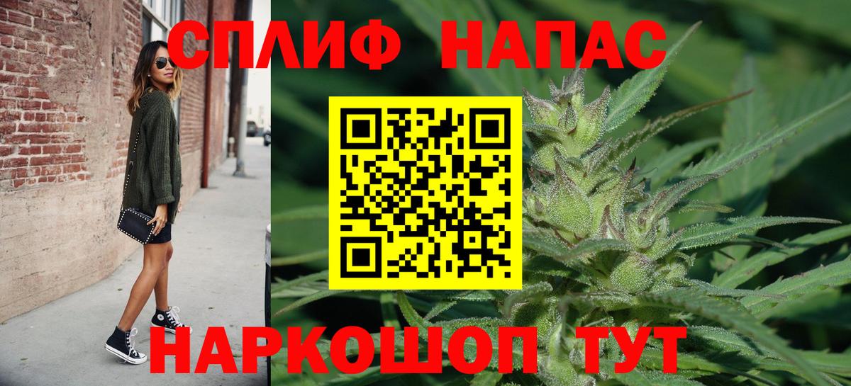 Каннабис планчик Полысаево